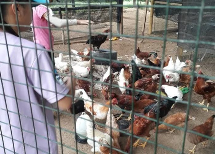 WhatsApp Image 2025-01-08 at 11.29.13